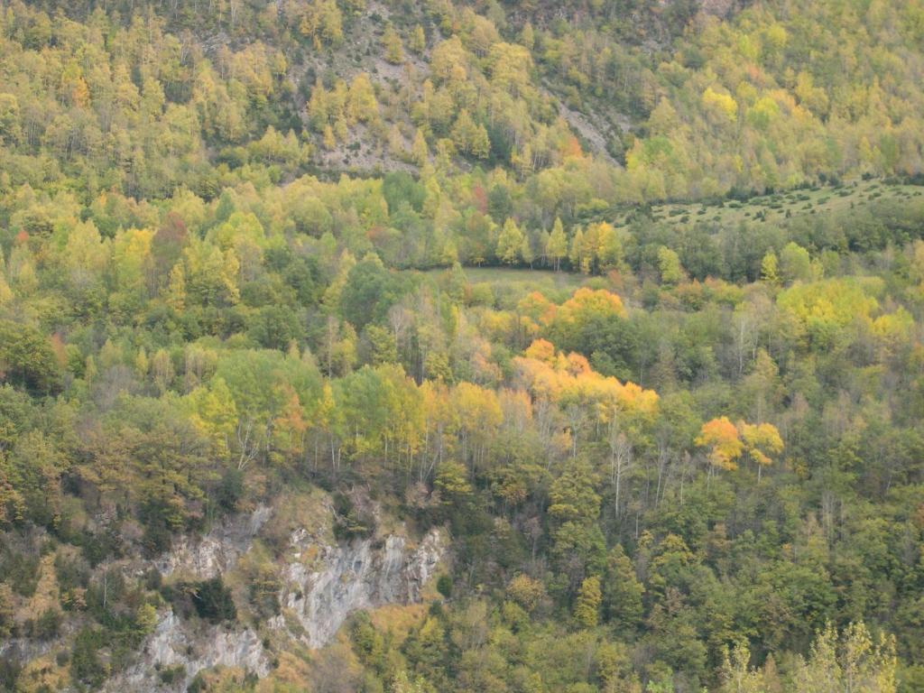 Apartamentos Estop Sahún Szoba fotó